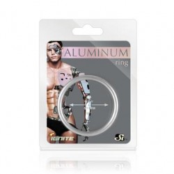 Aluminum Ring - Platinum -  2.00-inch Diameter 