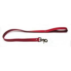 Bondage Basics Leather Leash - Red