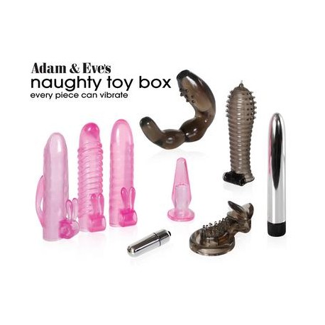 Adam and Eve Naughty Toy Box   