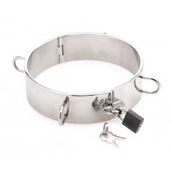 Stainless Steel Collar - 4.5 Inch