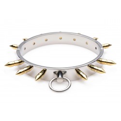 Stainless Steel Spiked Collar