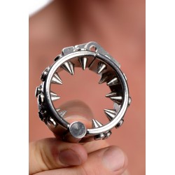 Impaler Locking Cbt Ring With Spikes