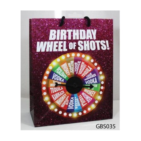 Birthday Wheel of Fortune Spinner Gift Bag 