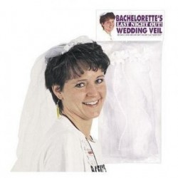 Bachelorette Wedding Veil